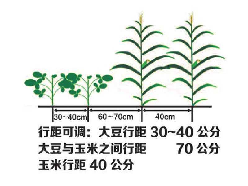 2BDYF-5型大豆玉米帶狀復(fù)合播種機(jī)