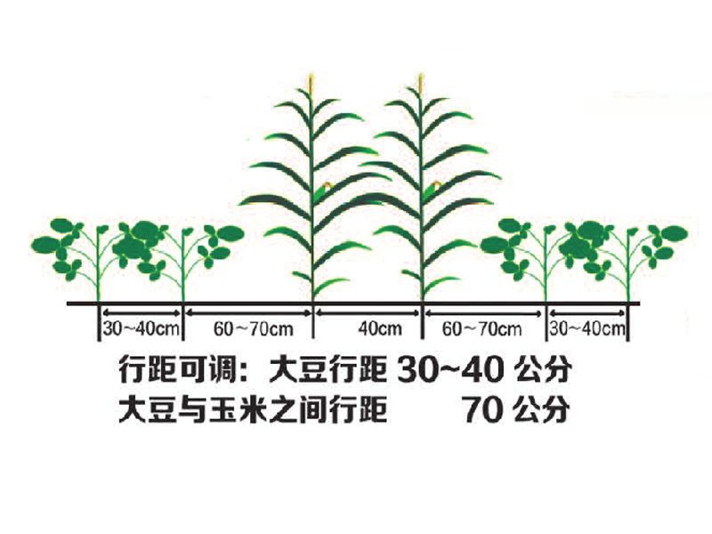 2BDYF-2-2-2型大豆玉米帶狀復(fù)合播種機(jī)